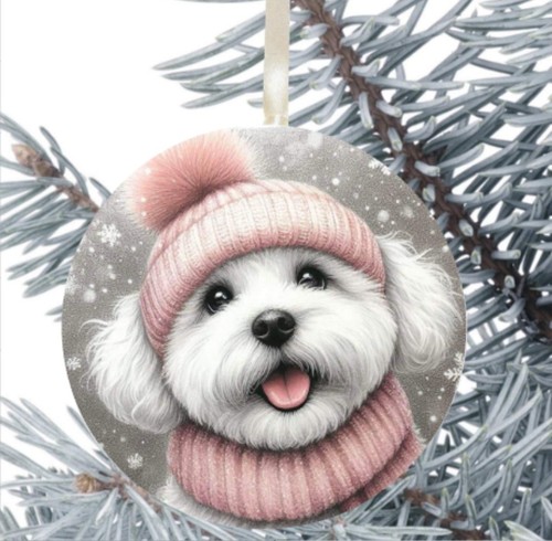 Regalo cane maltese