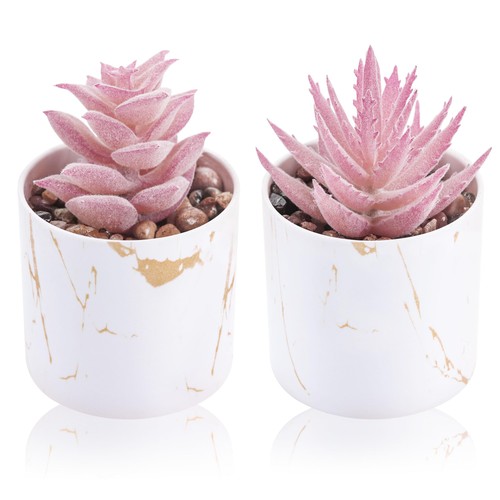 Der rose set piante - rose, 2