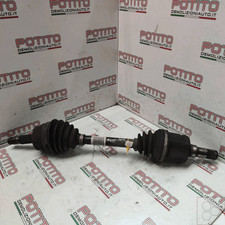 13149834 semialbero ant - semialbero,