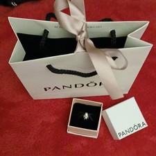 (1442) Charm Pandora Argento