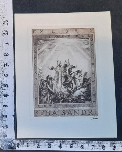 Wunderkammer exlibris 131 - wunderkammer,
