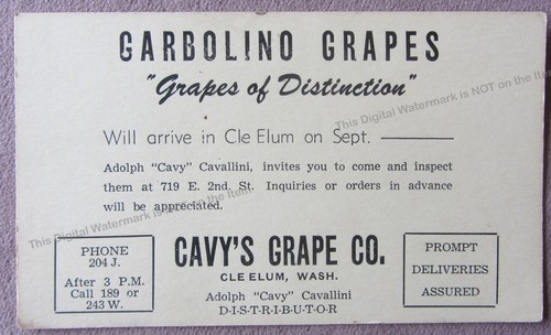 Cartolina pubblicitaria