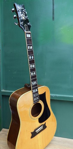 Chitarra acustica rara ibanez - chitarra,