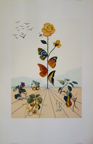 Salvador dali flordali - salvador, ii