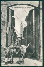 Siena San Gimignano Costumi Carro Buoi cartolina QQ1861