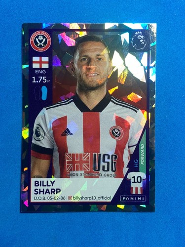 Panini sticker premier league - panini,