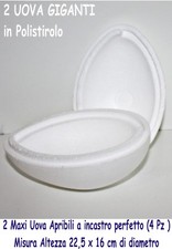 UOVA POLISTIROLO  22,5 x 16 cm