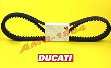 CINGHIE DISTRIBUZIONE