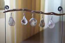 5 Orecchini donna frammenti conchiglie marine traslucide con gancio in metallo