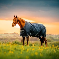 Horseware Amigo Ripstop 900D