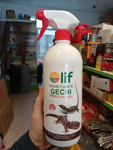 Disabituante gechi lucertole - gechi, e