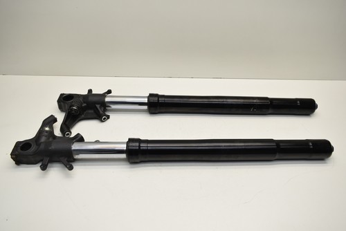 Kit ammortizzatori forcella