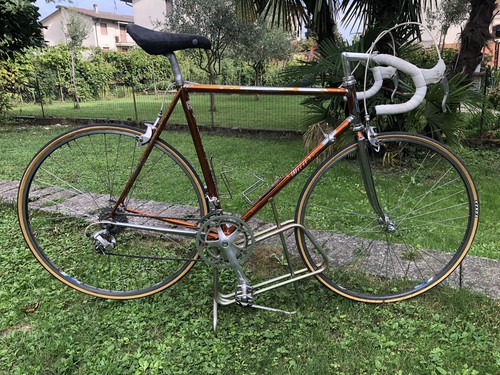 Wilier triestina ramata - triestina,