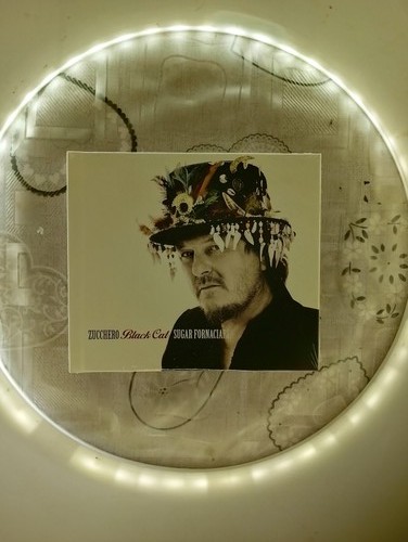 Black cat zucchero - -,