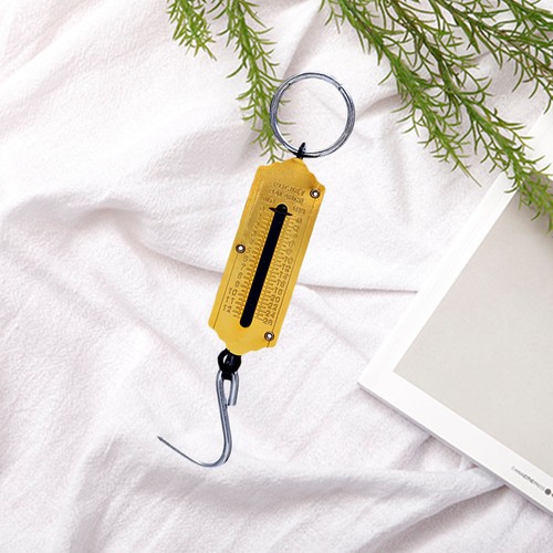 Bilancia portatile con - portatile,