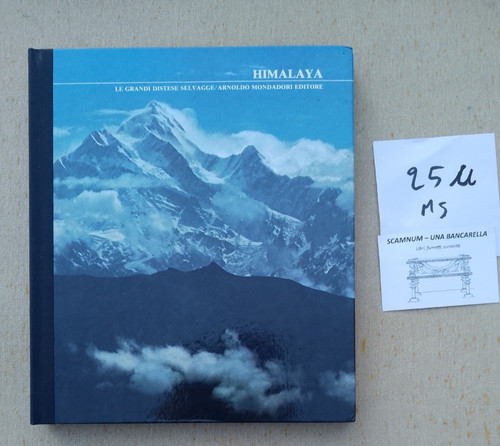Himalaya grandi distese - himalaya,
