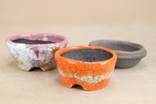 Vaso per bonsai giapponese