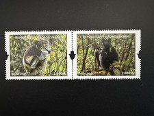 Madagascar Madagaskar 2024 /