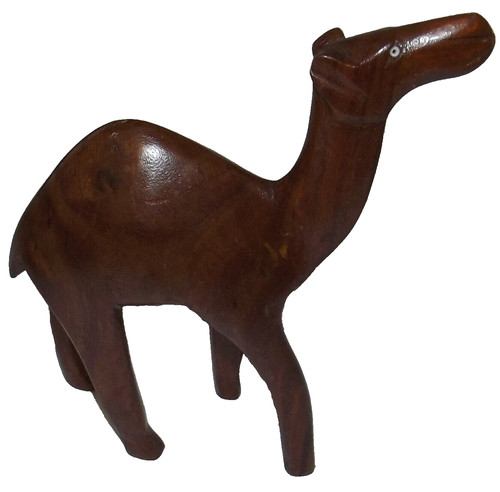 Dromedario legno 15 x 5 - dromedario, in