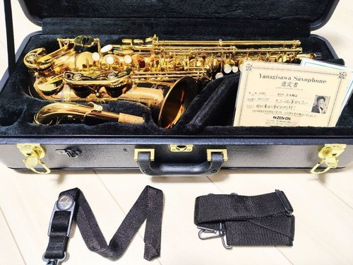 Sassofono contralto yanagisawa - contralto,