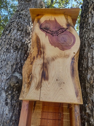 Bat house three chamber - bat, chamber,