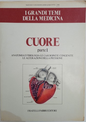 Cuore parte anatomia - parte, i.