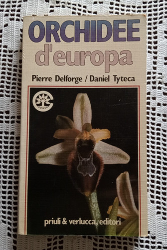 Orchidee europa pierre - orchidee, d'europa