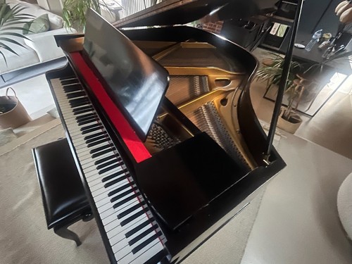 Prestigioso pianoforte