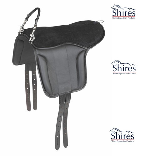Pony pad shires velociti - velociti, gara