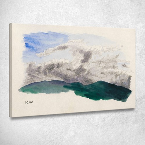 Studi sulla natura - studi,