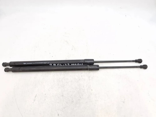 8200219322 pistoncini - 8200219322,