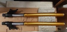 43505279GB FORCELLE MARZOCCHI 