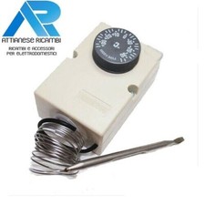 TERMOSTATO CON SONDA MOBILE