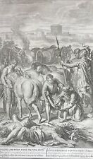 Josué Paralizza I Cavalli E