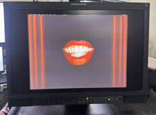 JVC DT-V21G11Z Monitor with