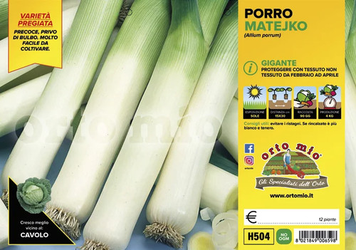 Orto mio porro - orto, gigante