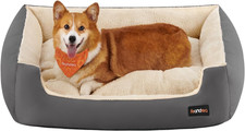 Cuccia cane interno - cane,