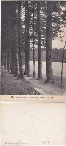 Vallombrosa firenze - -,