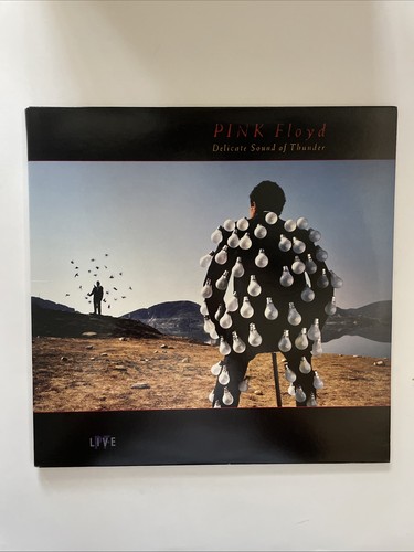 Pink floyd delicate sound of - pink,