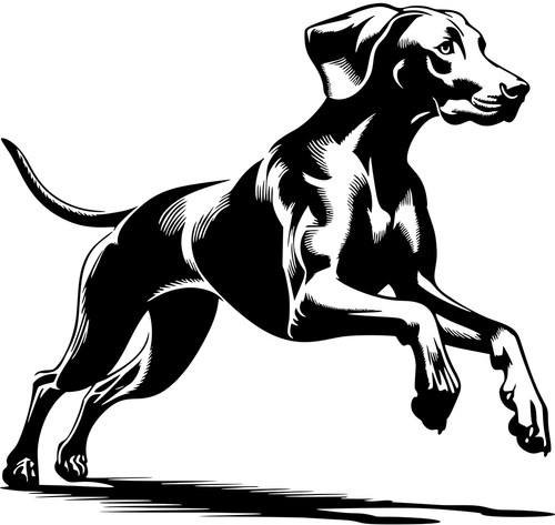 Adesivo weimaraner - weimaraner,