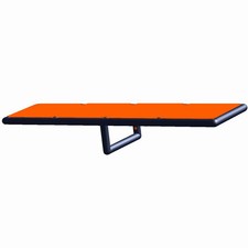 Altalena per cani Agility