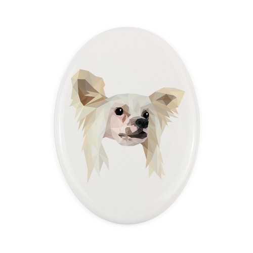 Cane caccia cinese - cane, da