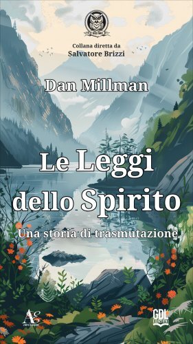 Libro leggi dello spirito - libro,