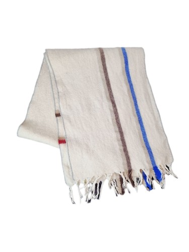 Sciarpa ermenegildo zegna lana - ermenegildo,