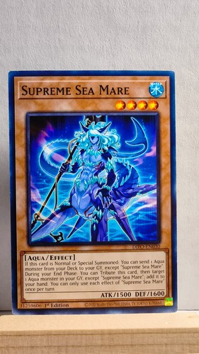 Supreme sea mare - sea, 1st