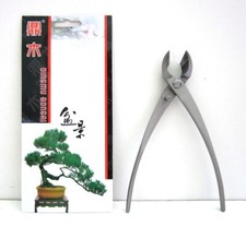 Tronchese bonsai taglio