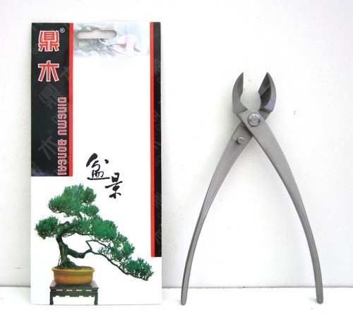 Tronchese bonsai taglio