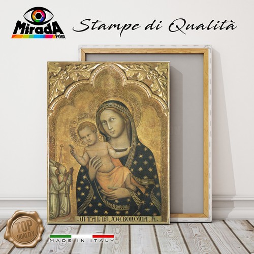 Quadro canvas vitale - quadro,