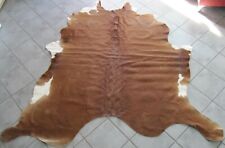 Perfette Condizioni: Bello