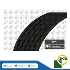 Cinghia di trasmissione a